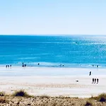 Les Oiseaux *