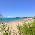 Les Oiseaux