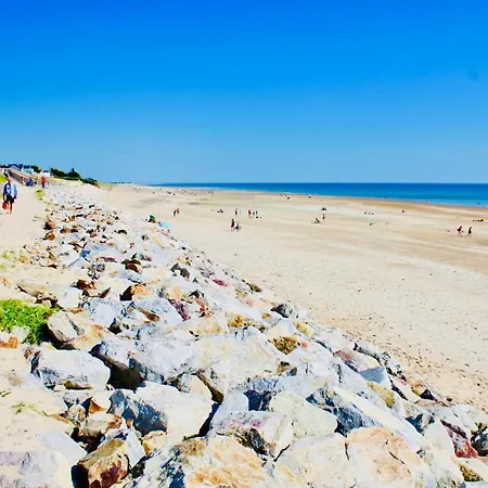 Les Oiseaux