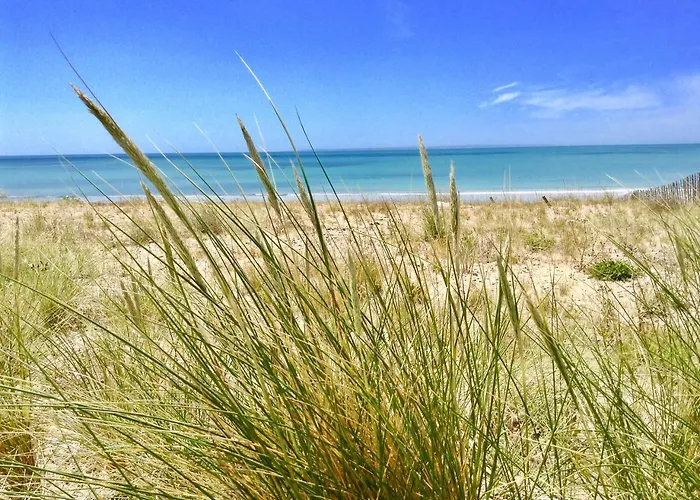 Дом отдыха Les Oiseaux *