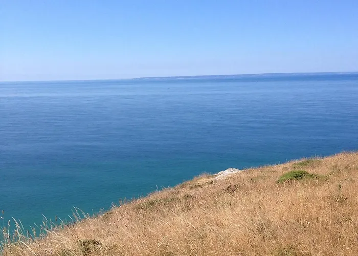 Les Oiseaux Дом отдыха *