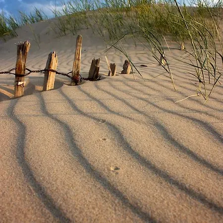 Сasa de vacaciones Les Oiseaux Barneville-Carteret