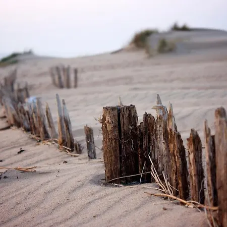 Les Oiseaux Barneville-Carteret
