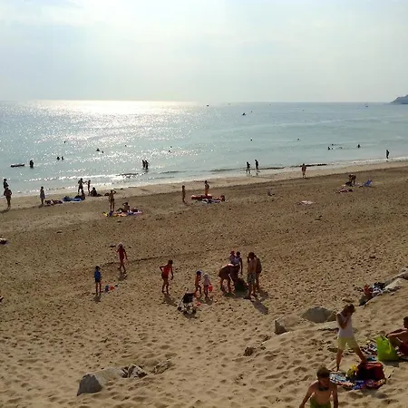 Les Oiseaux Barneville-Carteret