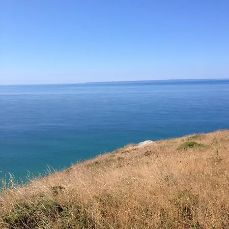 Les Oiseaux بيت للعطل *