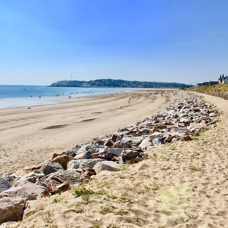 Les Oiseaux Barneville-Carteret