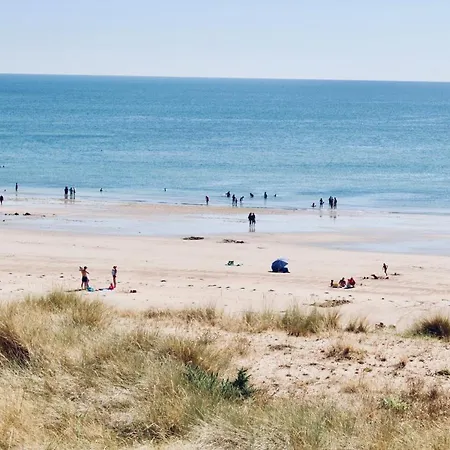 Les Oiseaux Barneville-Carteret