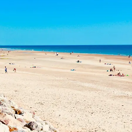 Les Oiseaux Сasa de vacaciones Barneville-Carteret