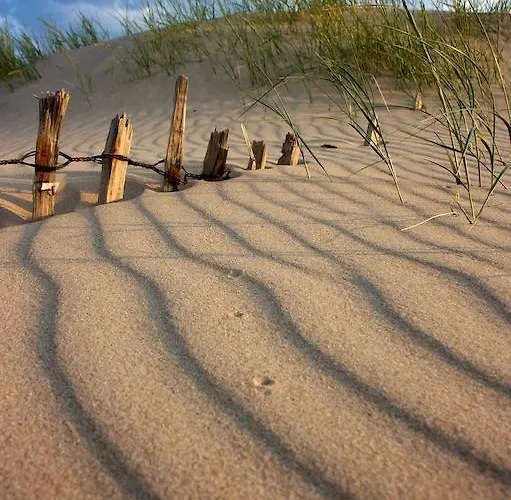 Holiday home Les Oiseaux Barneville-Carteret