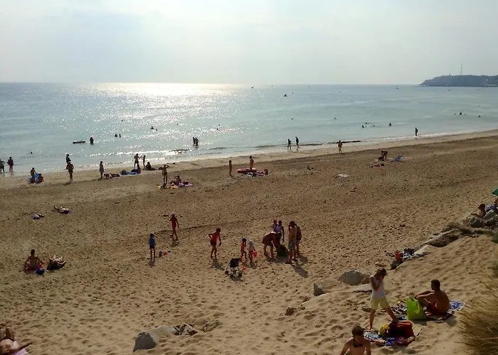 Les Oiseaux Barneville-Carteret