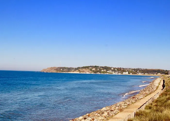 Les Oiseaux Barneville-Carteret