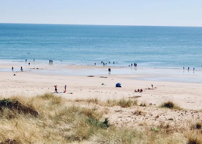 Les Oiseaux Barneville-Carteret