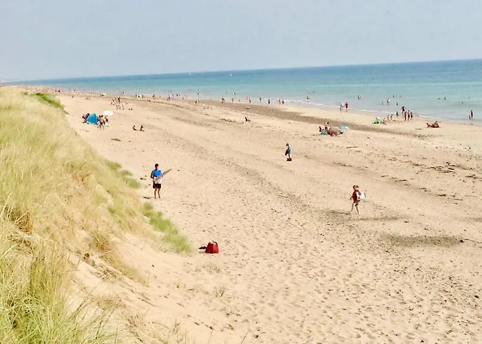 Les Oiseaux Barneville-Carteret